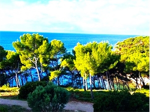 appartement à la vente -   83150  BANDOL, surface 37 m2 vente appartement - UBI444644354